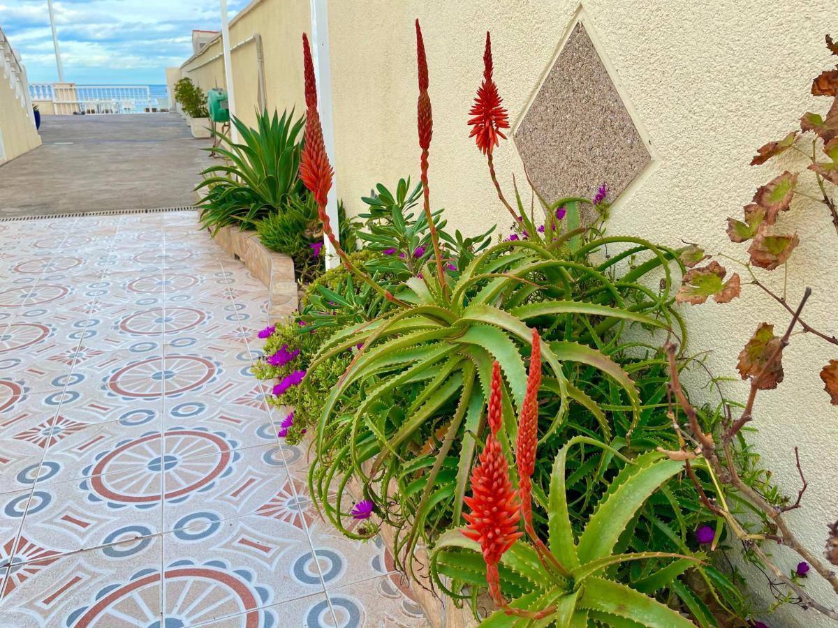Royal Beach House Vista Mar La Mata  Ngoại thất bức ảnh
